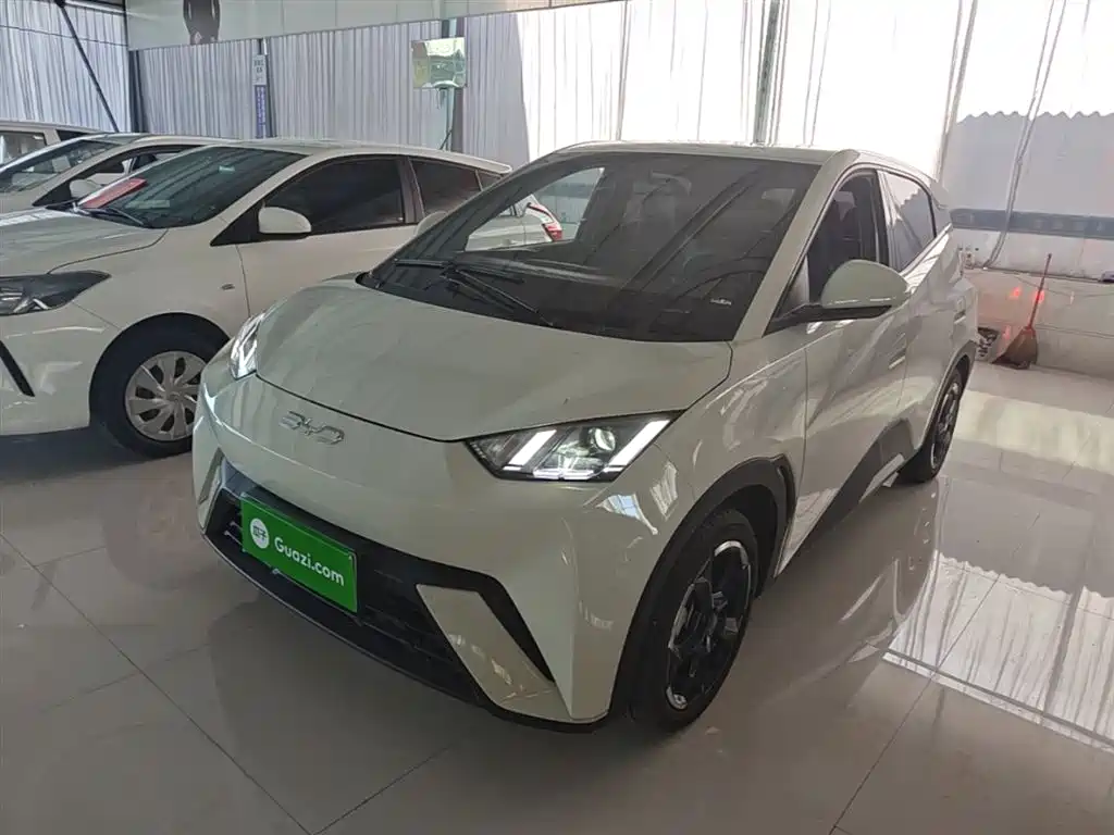 BYD Seagull 2024 Glory Edition 305km Freedom Edition фото 2