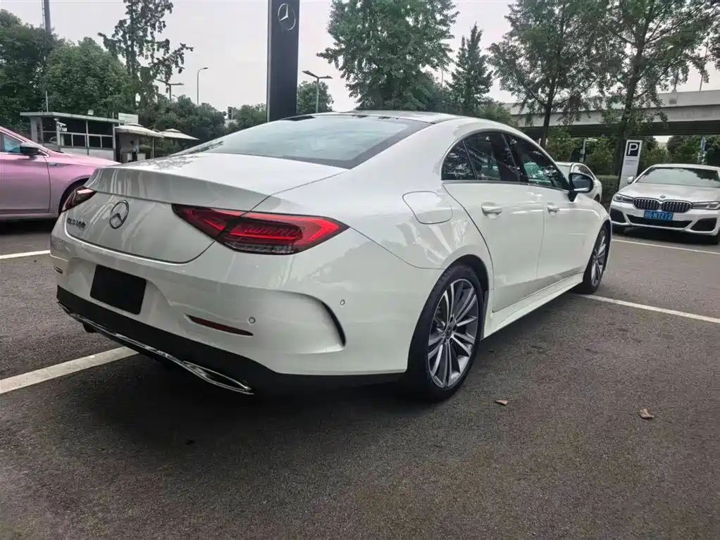 Mercedes-Benz CLS 2021 CLS 300 Sport фото 6