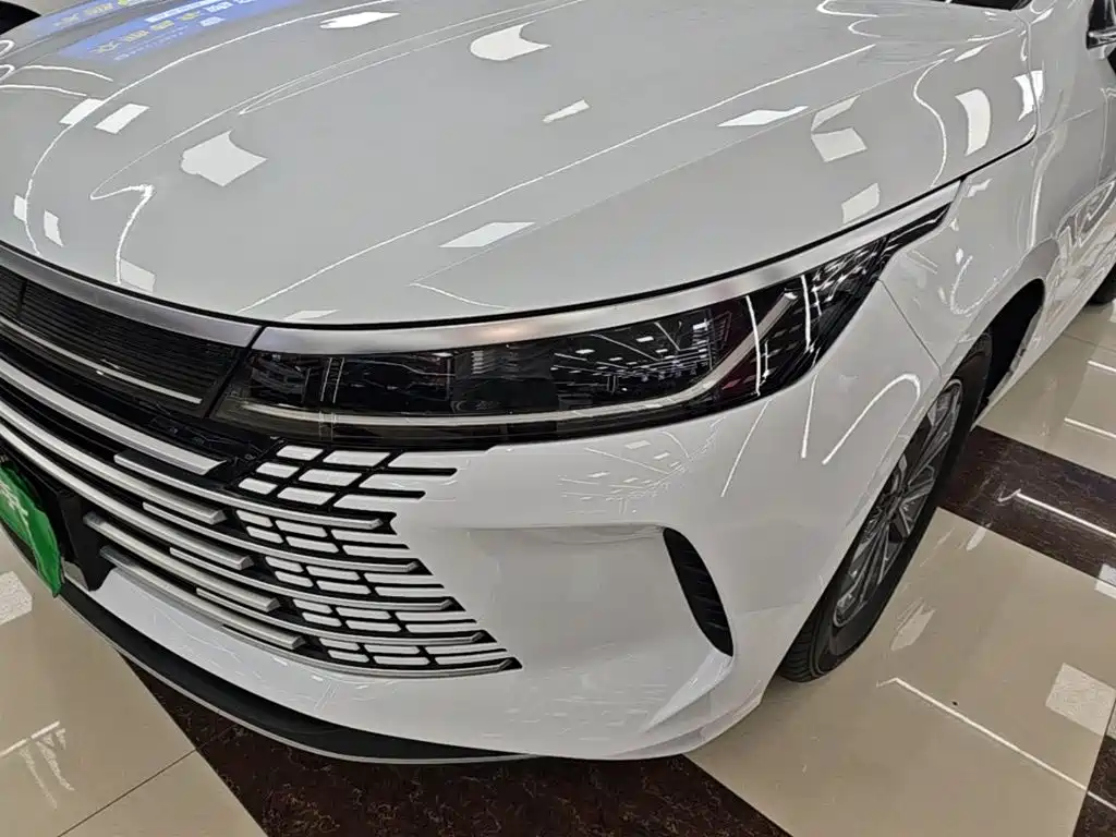 Фото 24 - BYD Destroyer 05