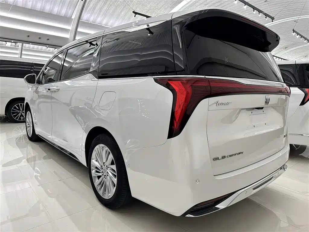 Buick Century 2023 2.0T 6-Seat World Edition фото 18