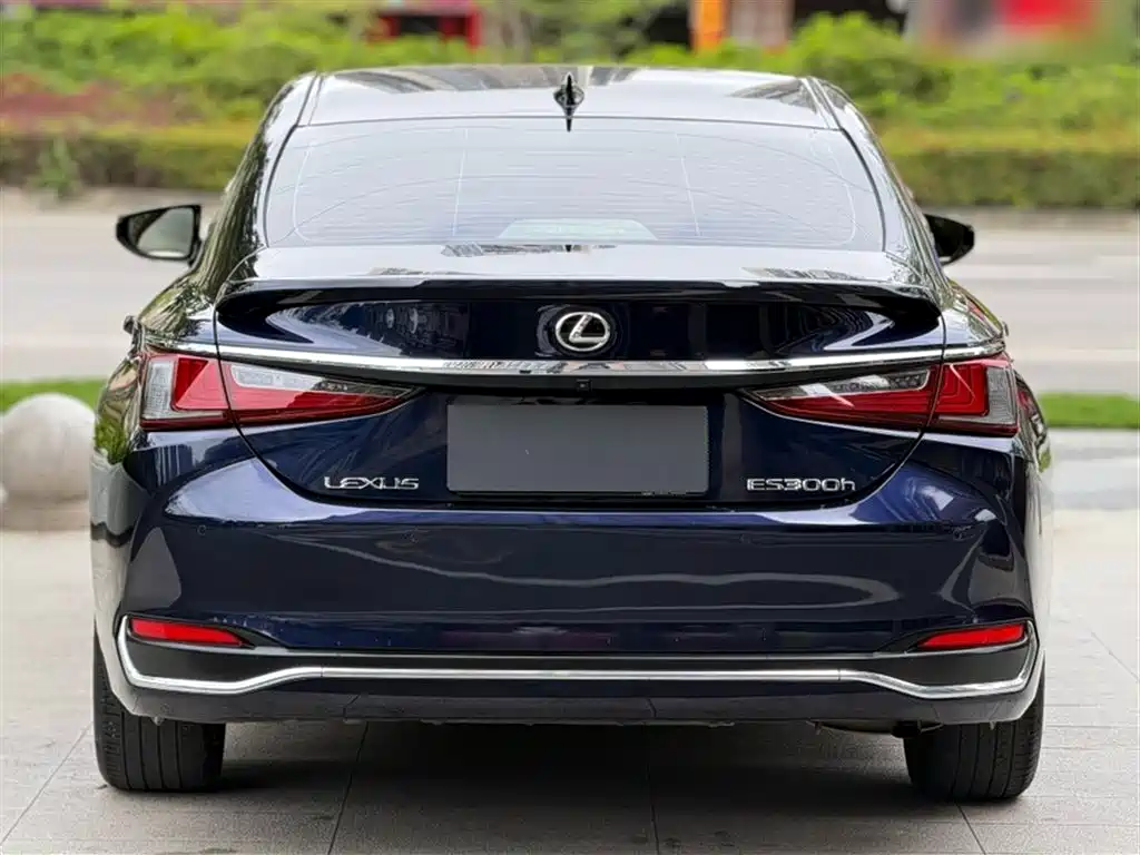 Lexus ES 2023 200 Excellence Edition фото 12