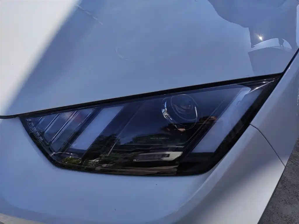 BYD Seagull 2025 Smart Drive Edition 305km Vitality Version фото 24