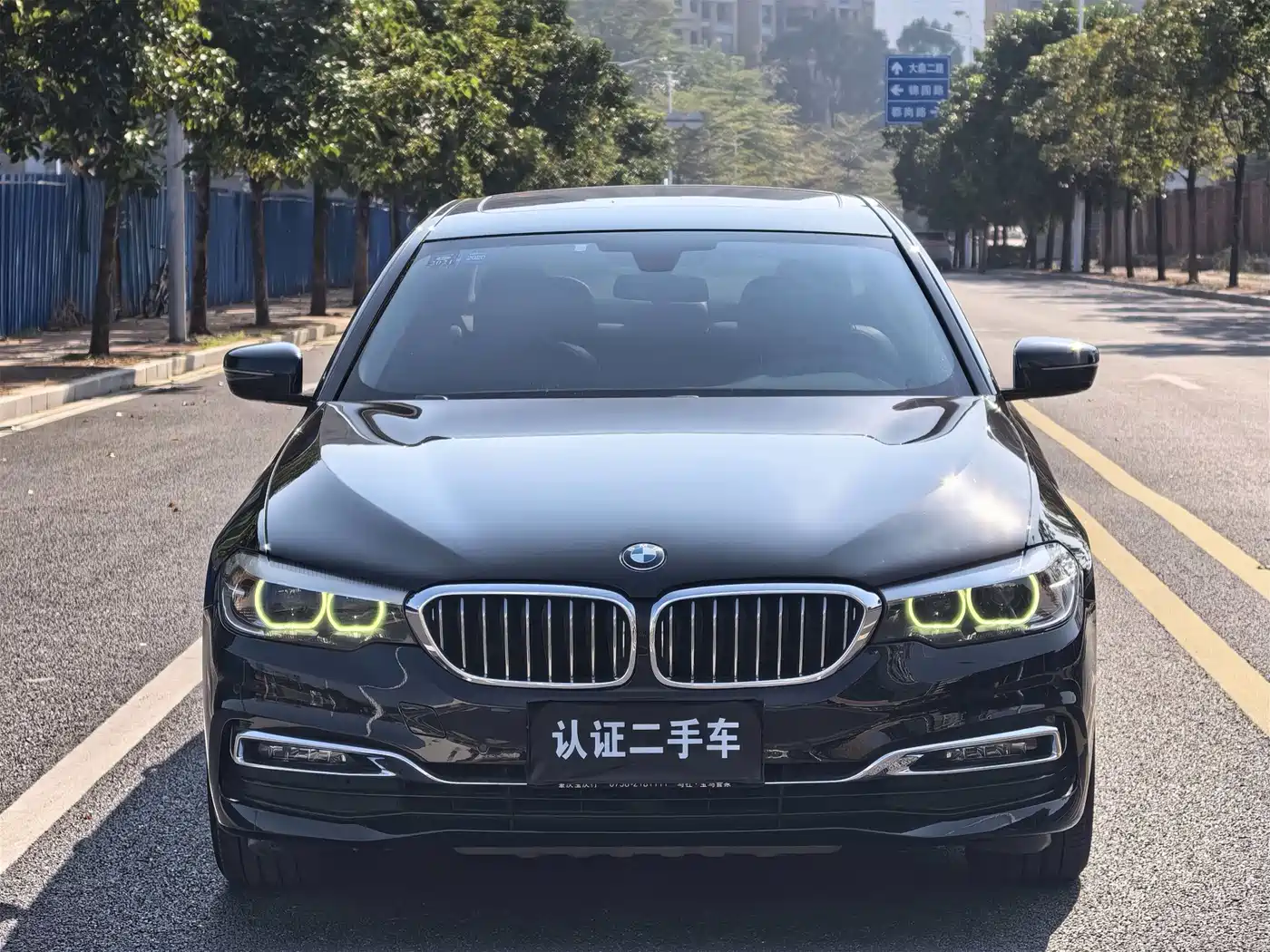 BMW 5 Series 2019 530Li Leading Luxury Package фото 2