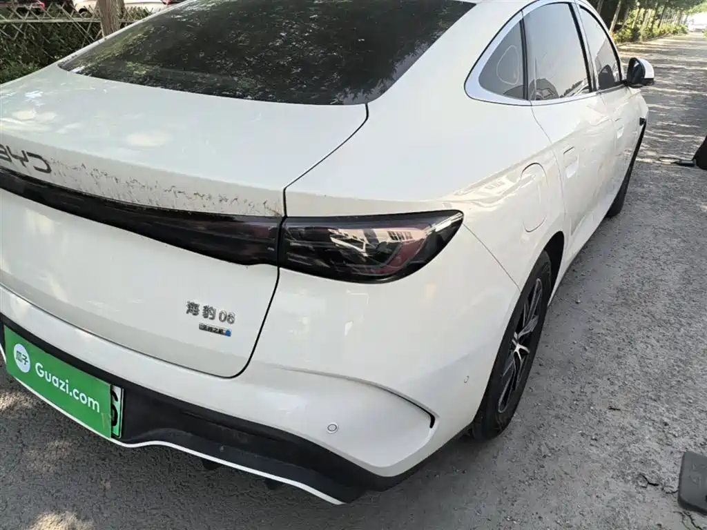 BYD Seal 06 New Energy 2025 DM-i Smart Drive Edition 120KM Luxury фото 8