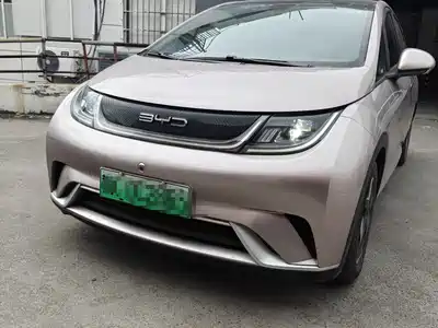 BYD Dolphin