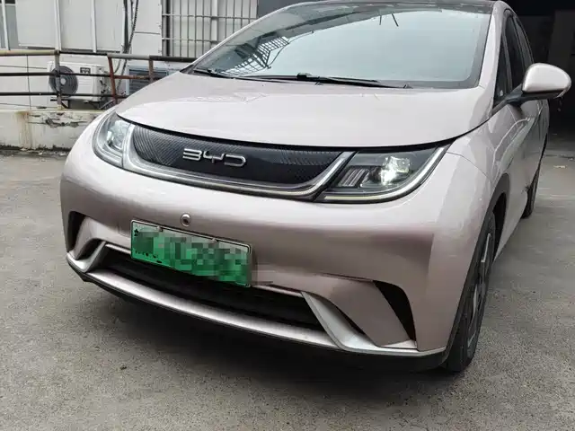BYD Dolphin 405km, Стиль