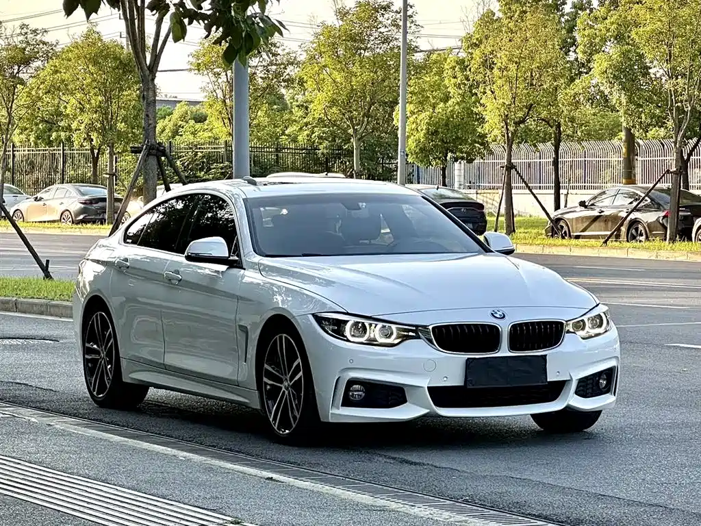 BMW 4 Series 2019 425i Gran Coupe M Sport Package фото 4