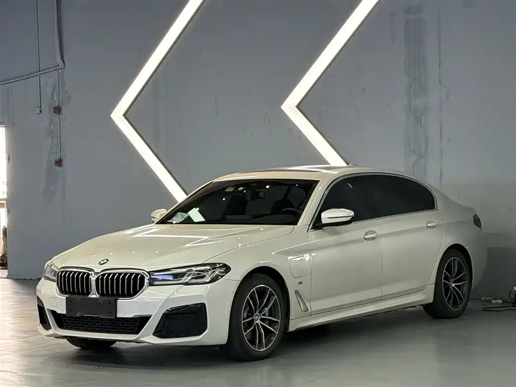 BMW 5 SERIES NEW ENERGY