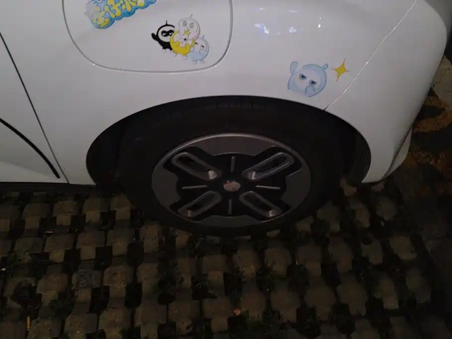 QQ New Energy Duomi 2025 2025 305km Comfort Edition