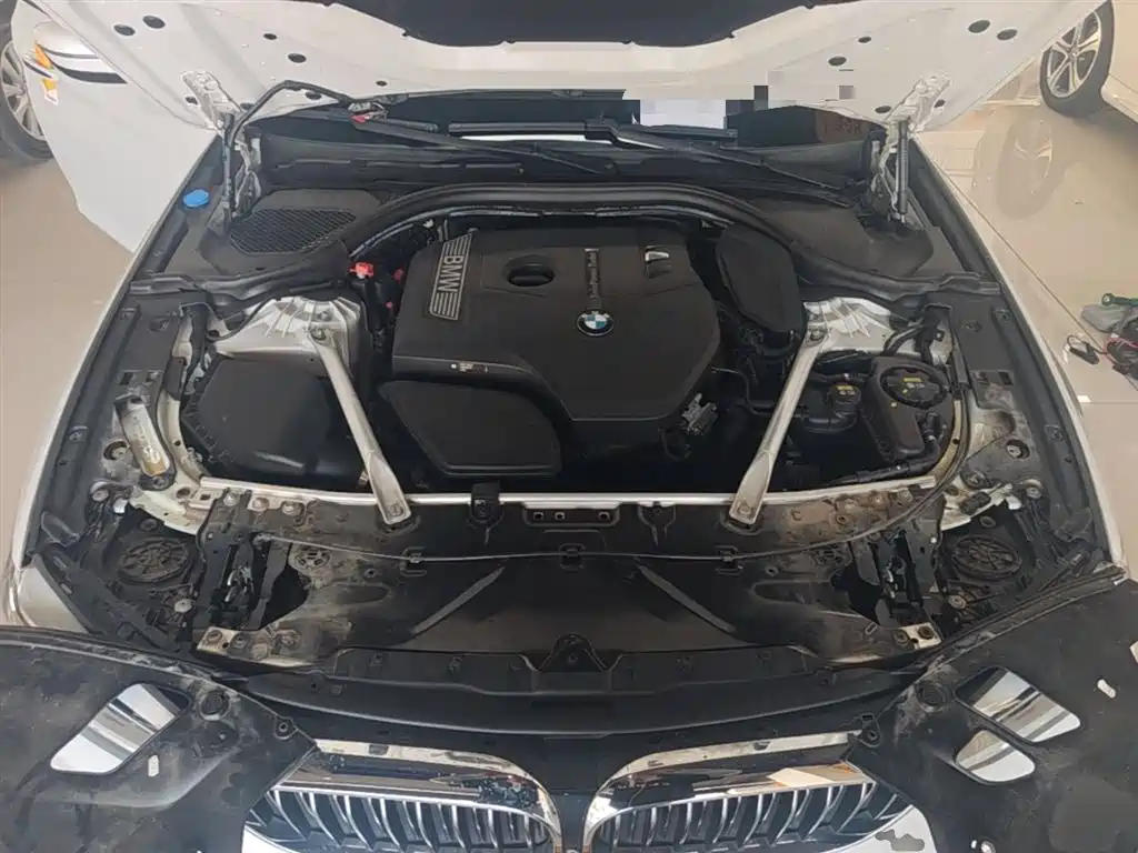 BMW 5 Series 2018 Facelift 530Li Exclusive Luxury Package фото 20