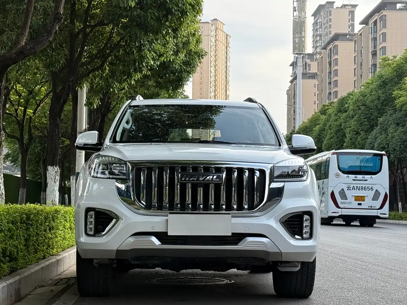 Haval H9 2022 2.0T Gasoline AWD All-Terrain 5-Seater фото 2