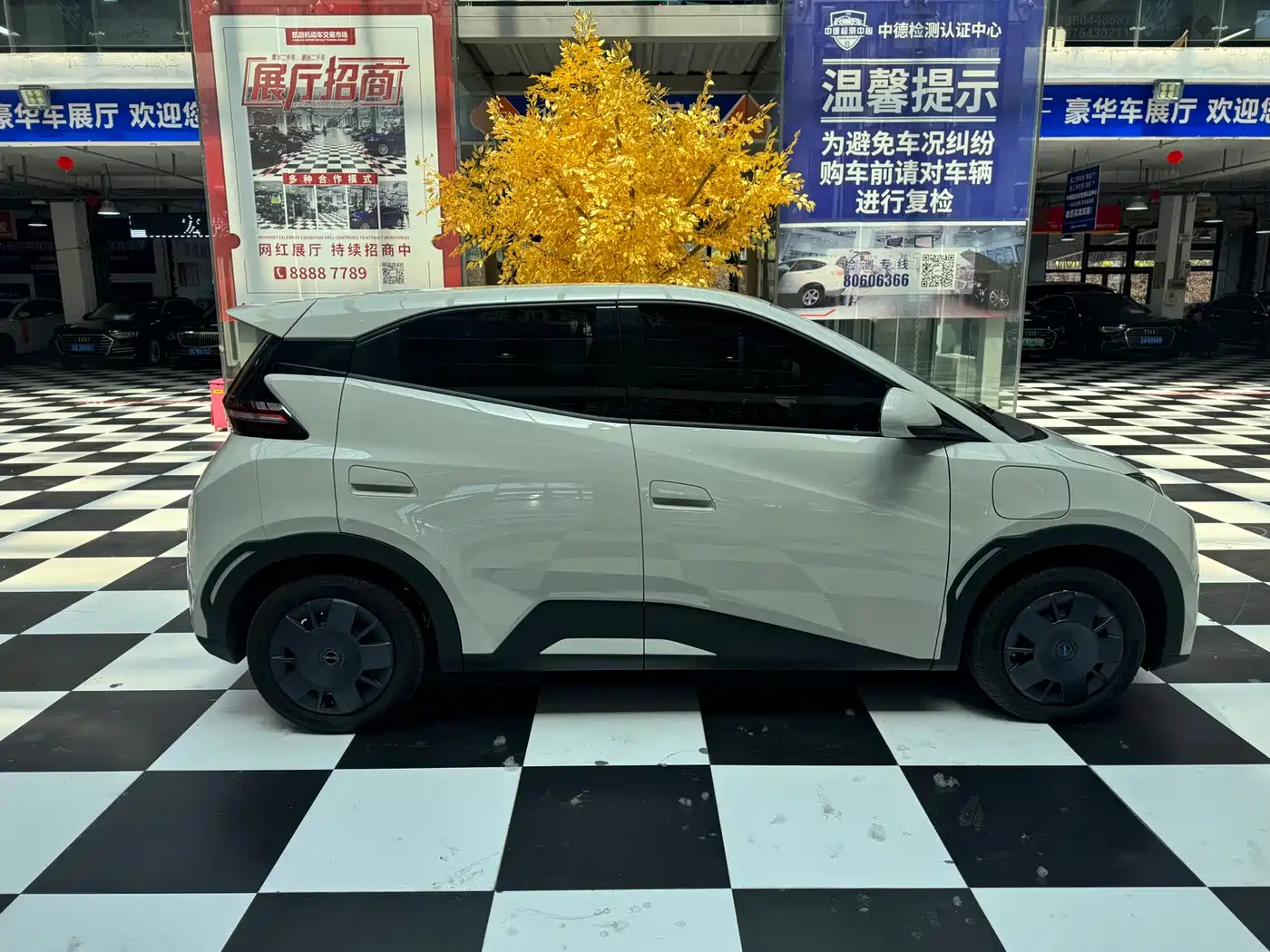 BYD Seagull 2025 305km Vitality фото 6