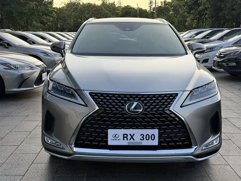 Lexus RX 2020 300 AWD Elegance Edition China V фото 2