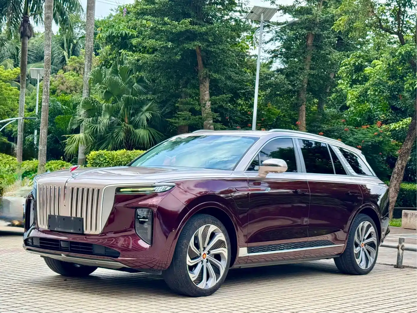Hongqi E-HS9 2021 — пригон из Китая