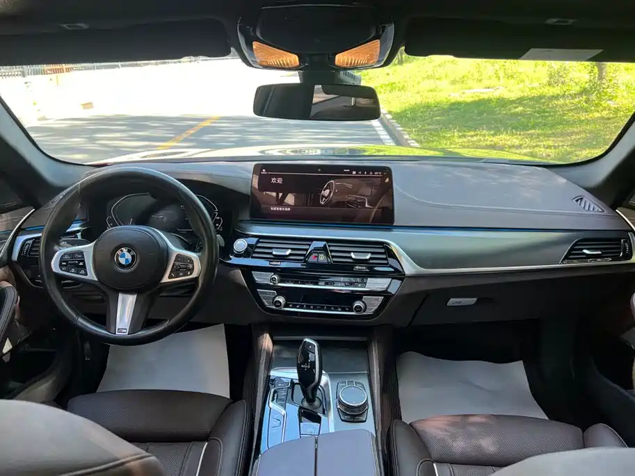 BMW 5 SERIES NEW ENERGY