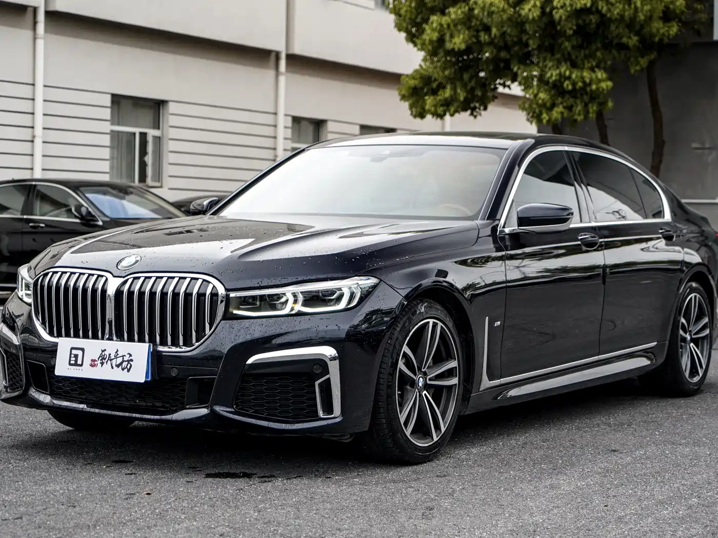BMW 7 Series 2021 Model 730Li M Sport Package фото 8