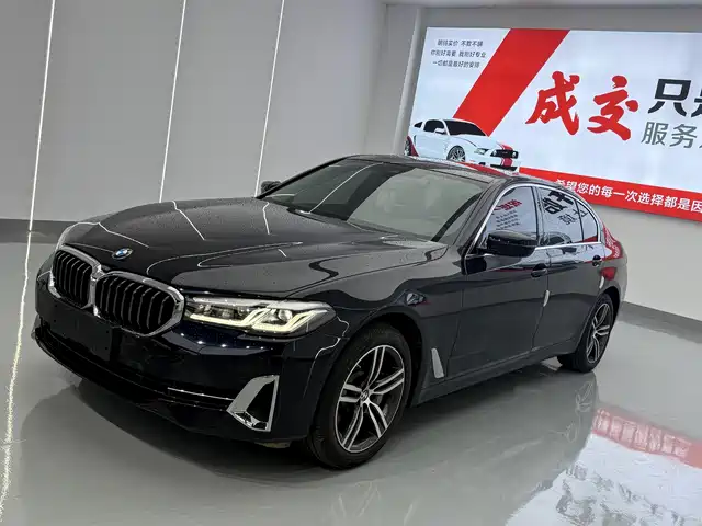 BMW 5 530Li, Лидер, Люкс-пакет