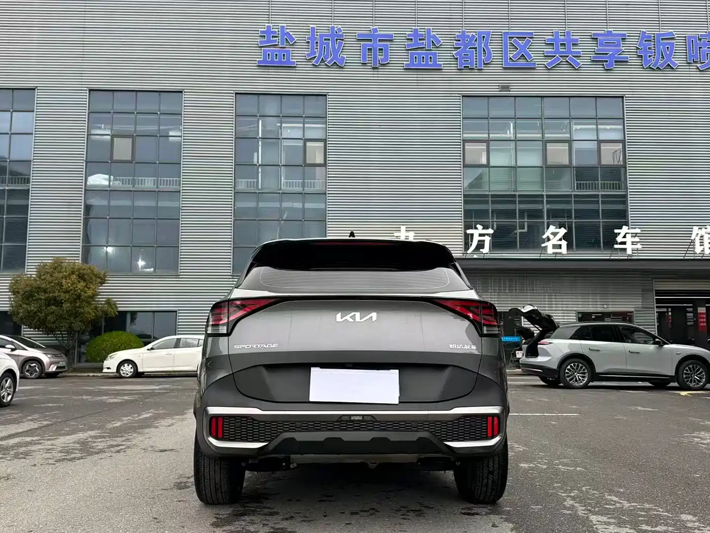 KIA LION PLATINUM EXPANDS THE WORLD