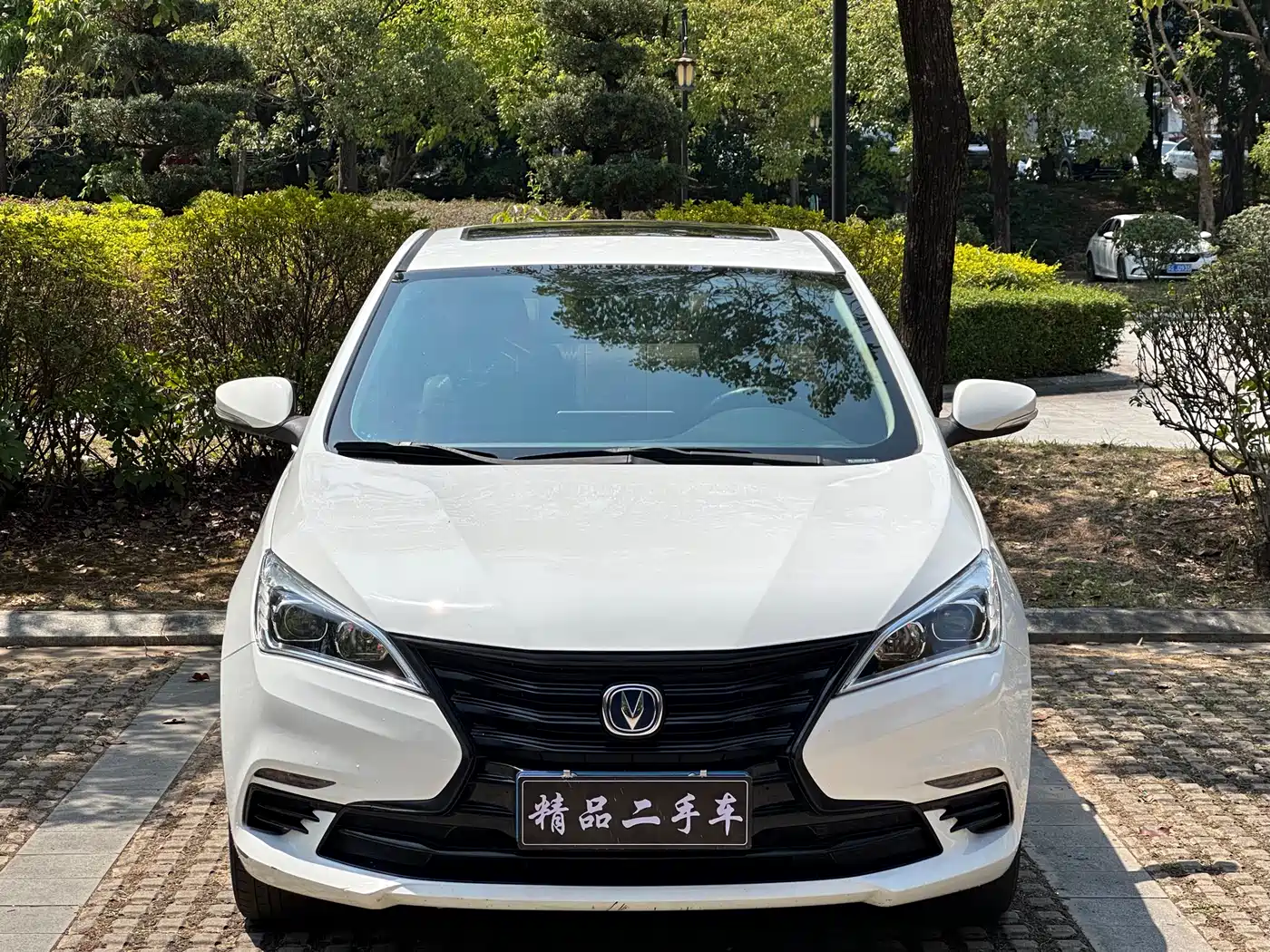 CHANGAN YIDONG DT