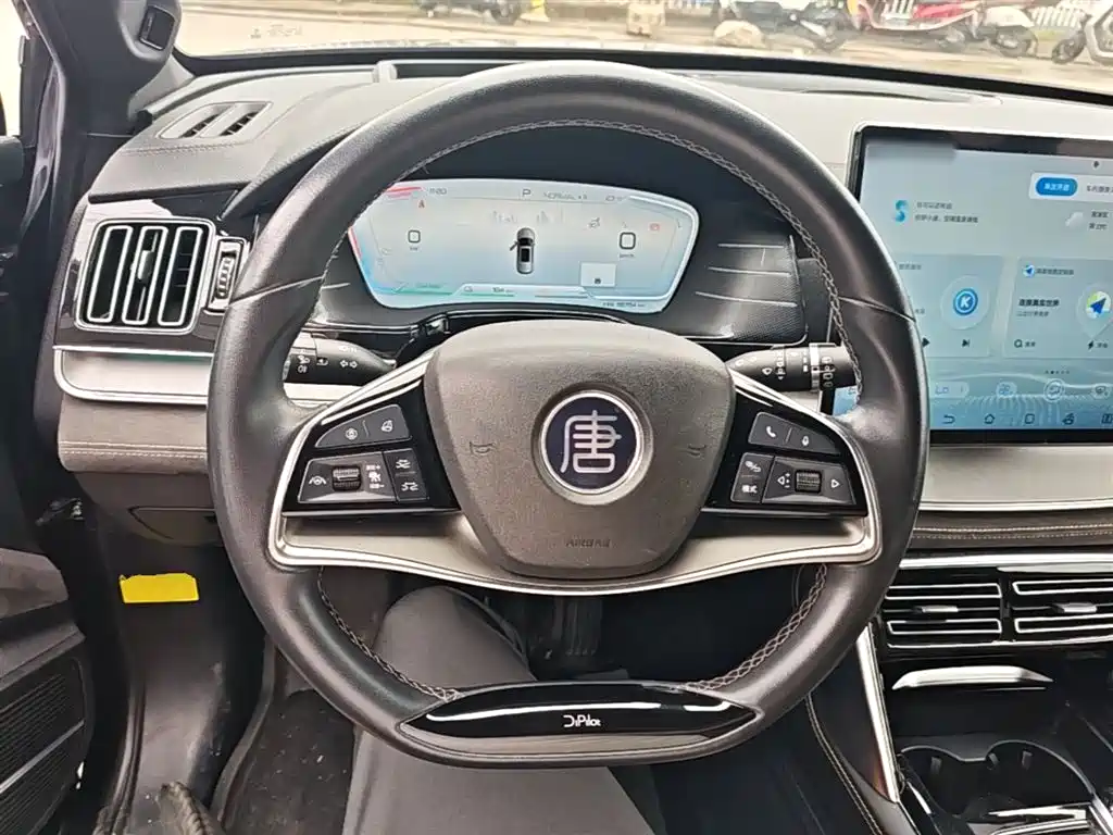 BYD Tang New Energy 2022 DM-p 215KM AWD Executive фото 11