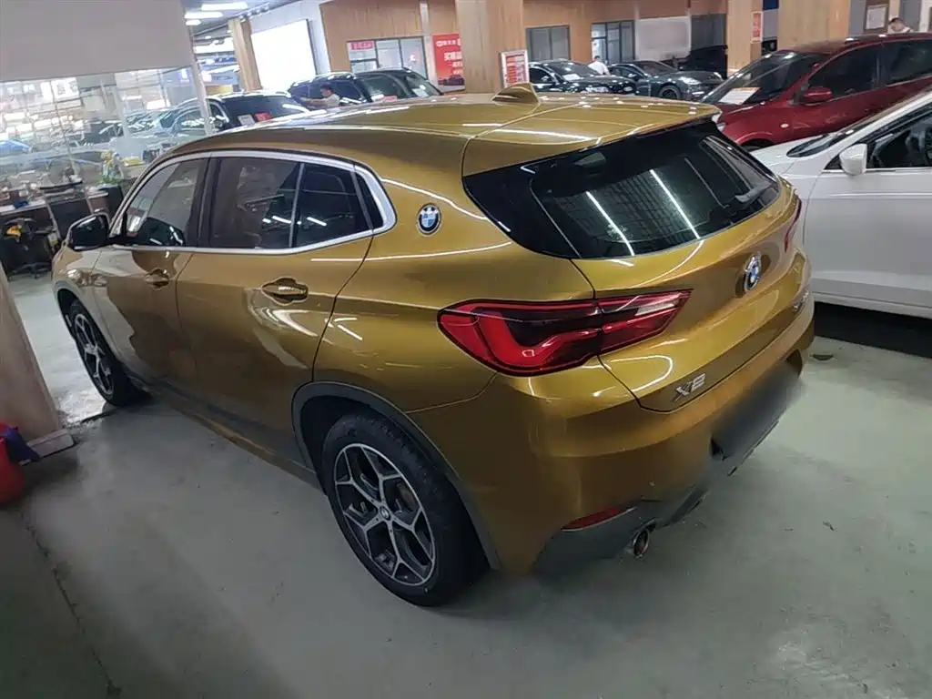 BMW X2 (Import) 2019 sDrive20i M Off-Road Package China VI фото 5