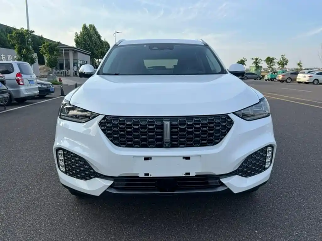 Фото 2 - WEY VV6
