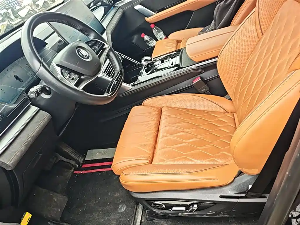 BYD Tang New Energy 2022 DM-p 215KM AWD Executive фото 15
