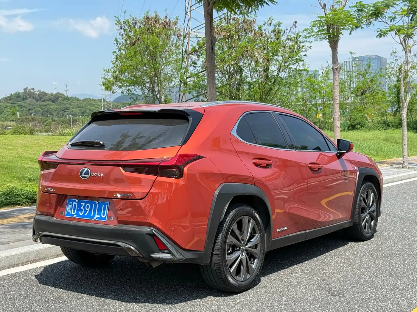 Lexus UX 2019 260h F SPORT Edition (China V) фото 6