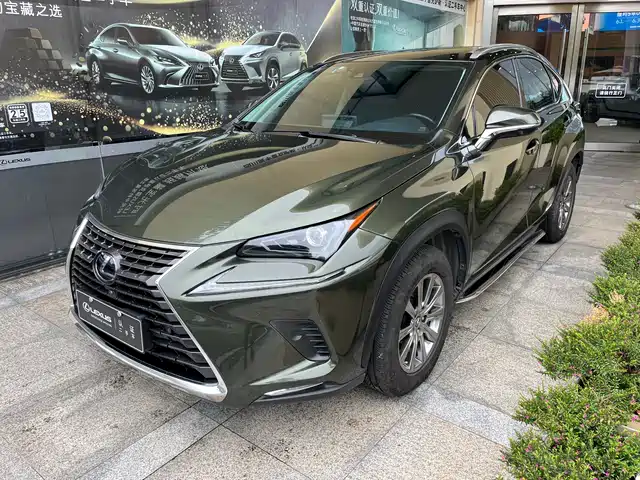  Lexus Lexus NX 2020 300h FWD F Sport China VI