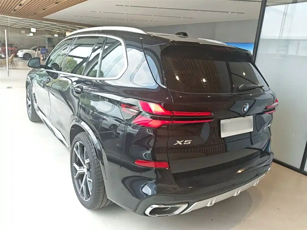 BMW X5 2023 xDrive 30Li Premium M Sport Package фото 5