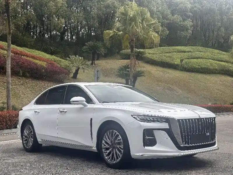 Hongqi H5 2023 2.0T Auto Smart Connect Flag Comfort фото 3