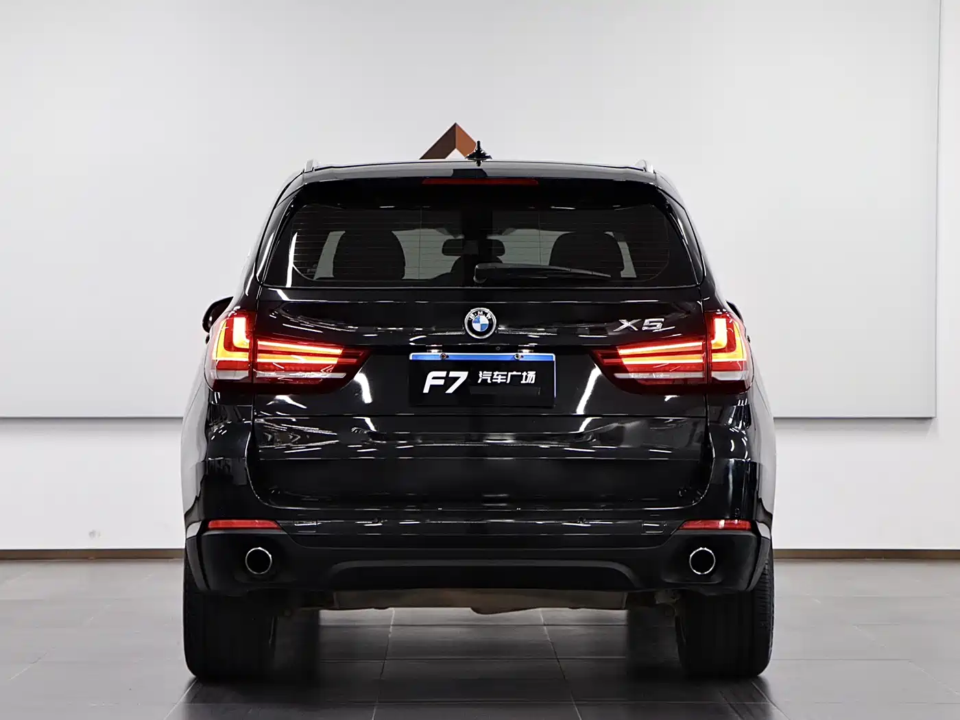 BMW X5 (Import) 2014 xDrive35i Elegance фото 5