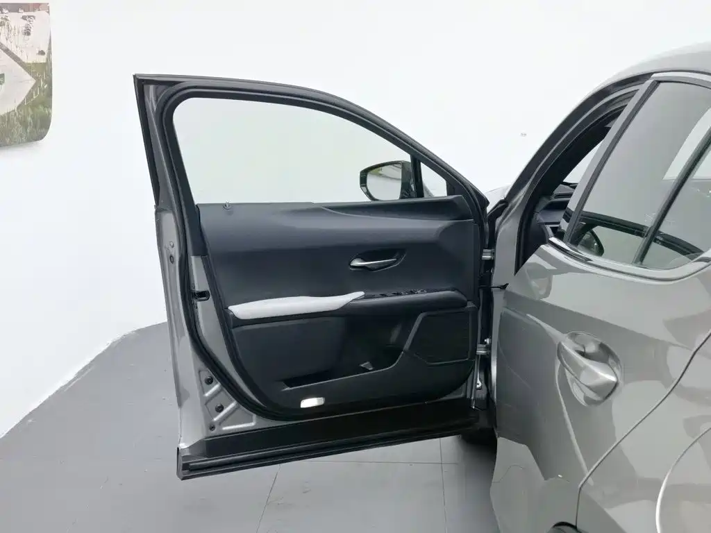 Фото 8 - Lexus UX