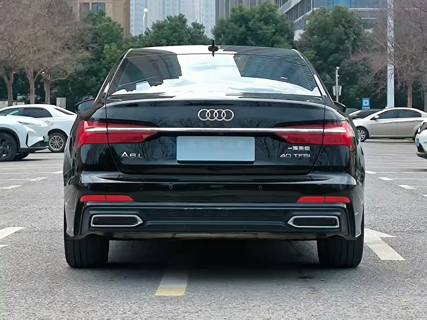 Audi A6L 2021 40 TFSI Luxury Sport фото 11