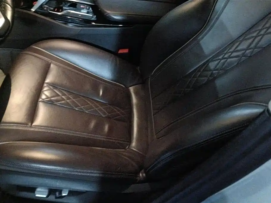BMW 5 Series 2019 530Li Leading Luxury Package фото 9