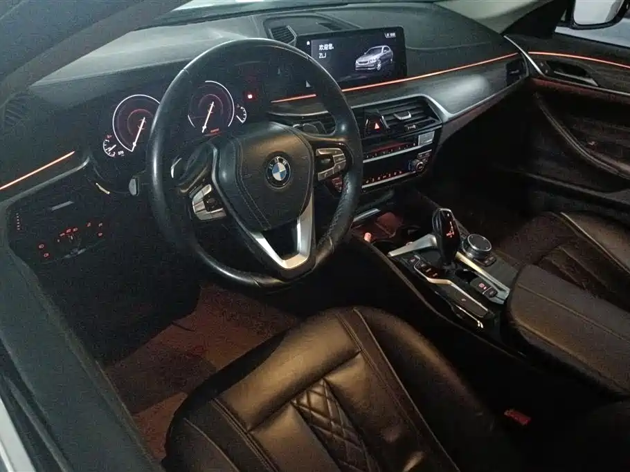 BMW 5 Series 2019 530Li Leading Luxury Package фото 13