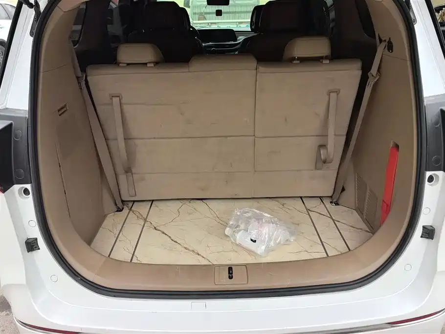 Buick GL8 2020 Model ES Landglory 653T Premium фото 4