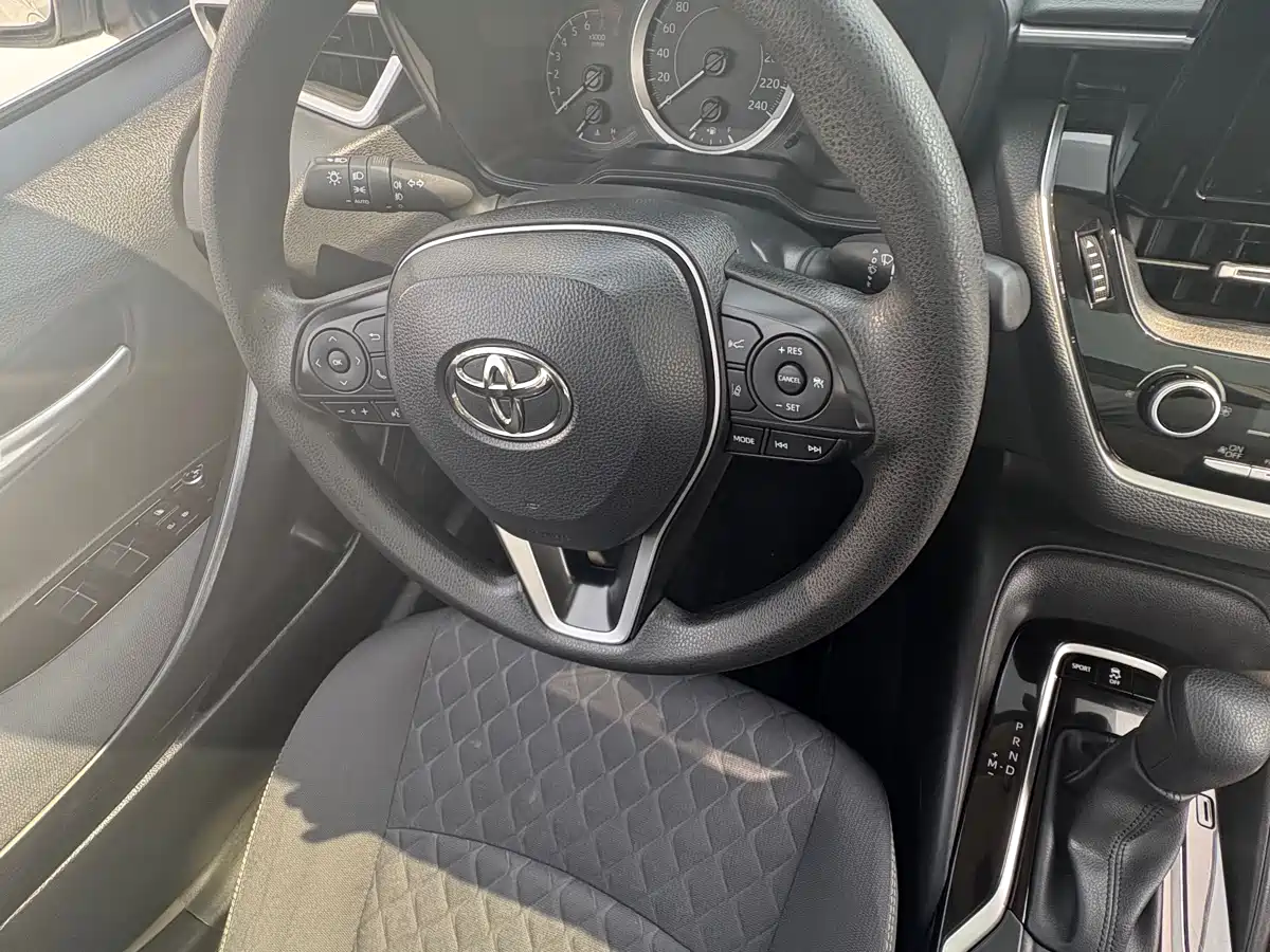 TOYOTA ASIAN LION