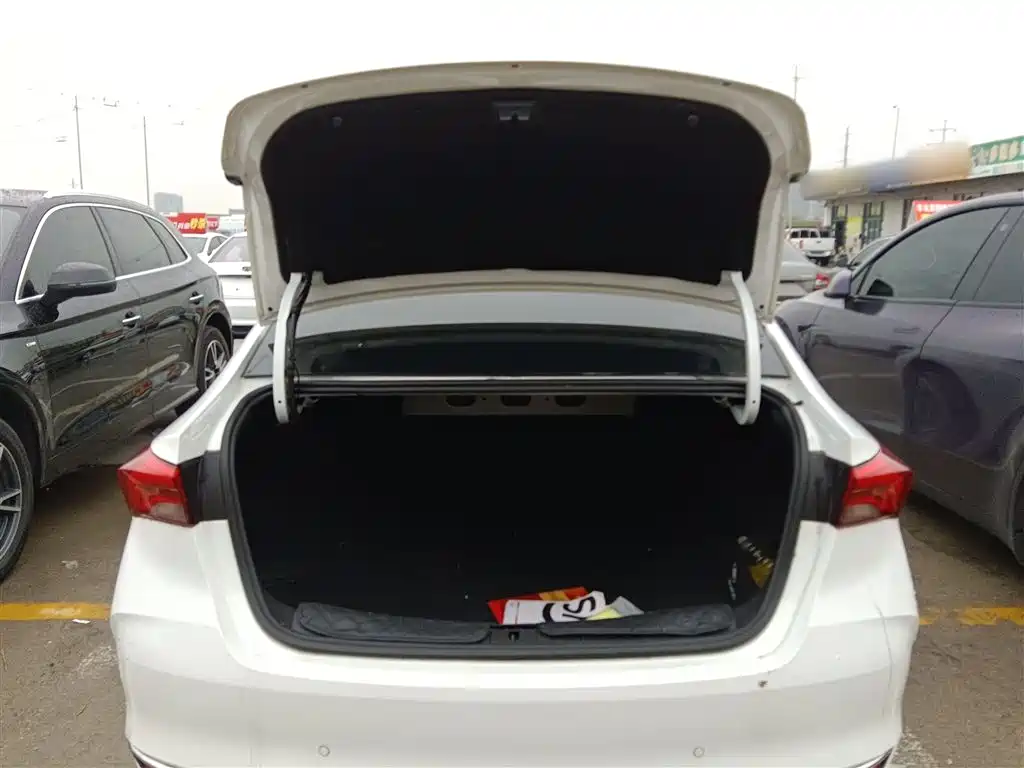 BUICK WEILANG