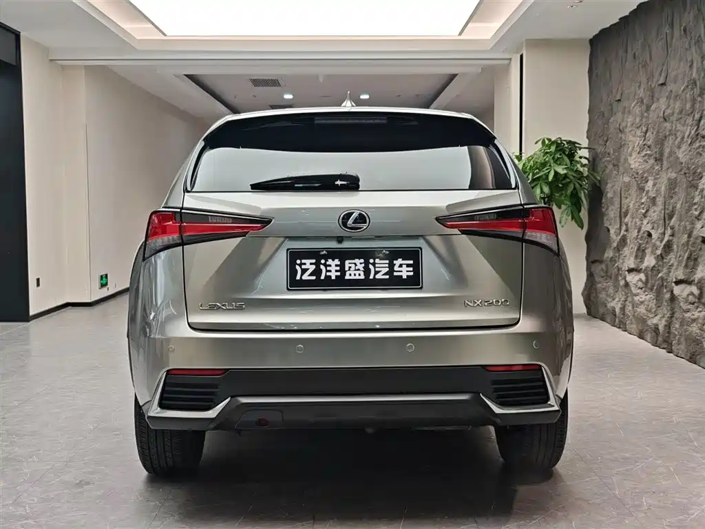 Lexus NX 2018 Model 200 FWD Fengxing Edition China V фото 18