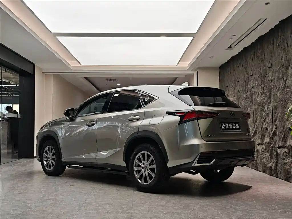 Lexus NX 2018 Model 200 FWD Fengxing Edition China V фото 19