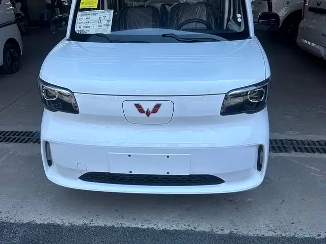  Wuling Motors Wuling Zhiguang NEV 2025 Model 305km Base Version