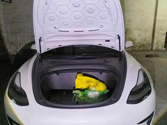 Tesla Model 3 2020 Standard Range Rear-Wheel Drive Upgrade — фото 3