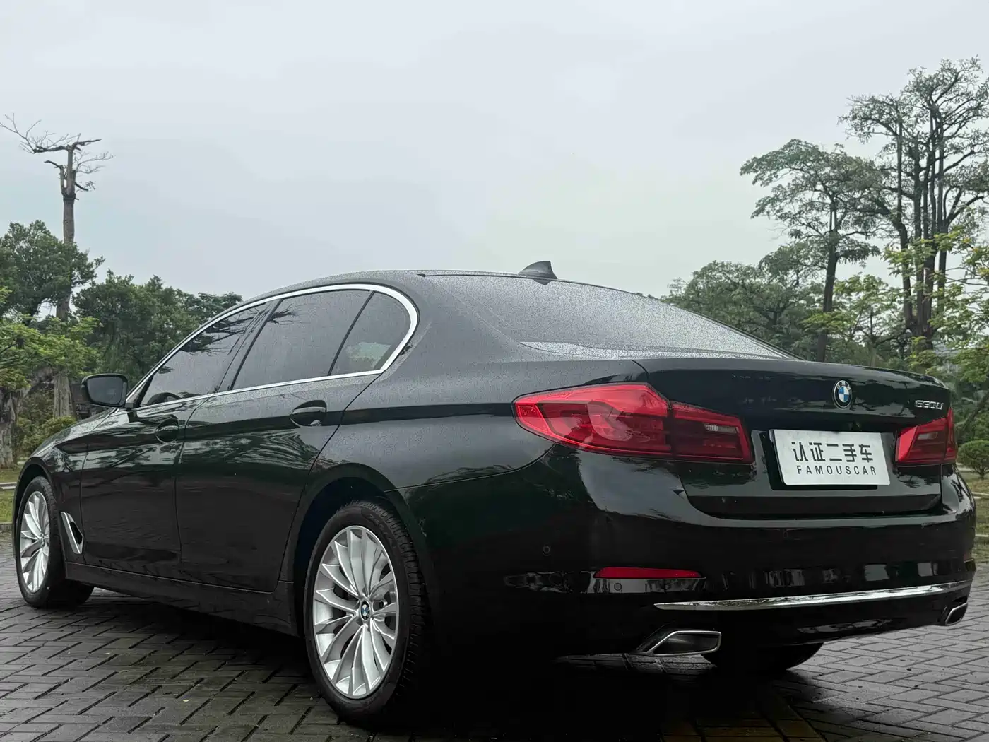 BMW 5 Series 2020 530Li Premium Luxury Package фото 26