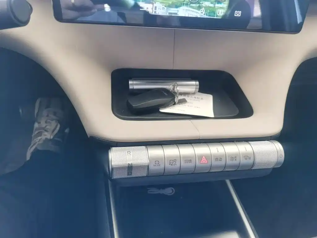 BYD Dolphin 2023 420km Fashion Edition фото 14