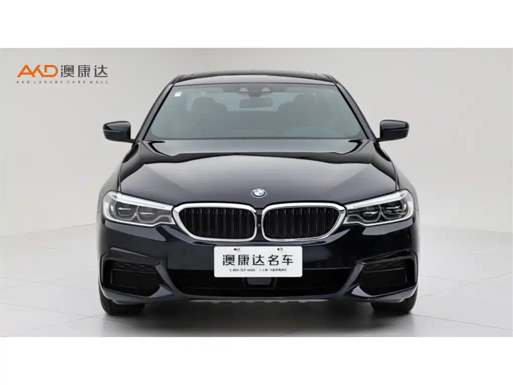 BMW 5 Series 2020 530Li Exclusive M Sport Package фото 2