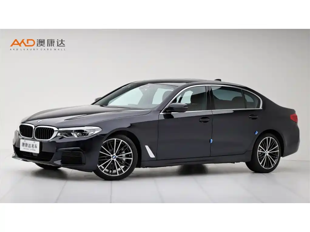 BMW 5 Series 2020 530Li Exclusive M Sport Package