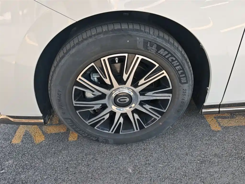 GAC Trumpchi Trumpchi E9 2023 E9 MAX фото 23