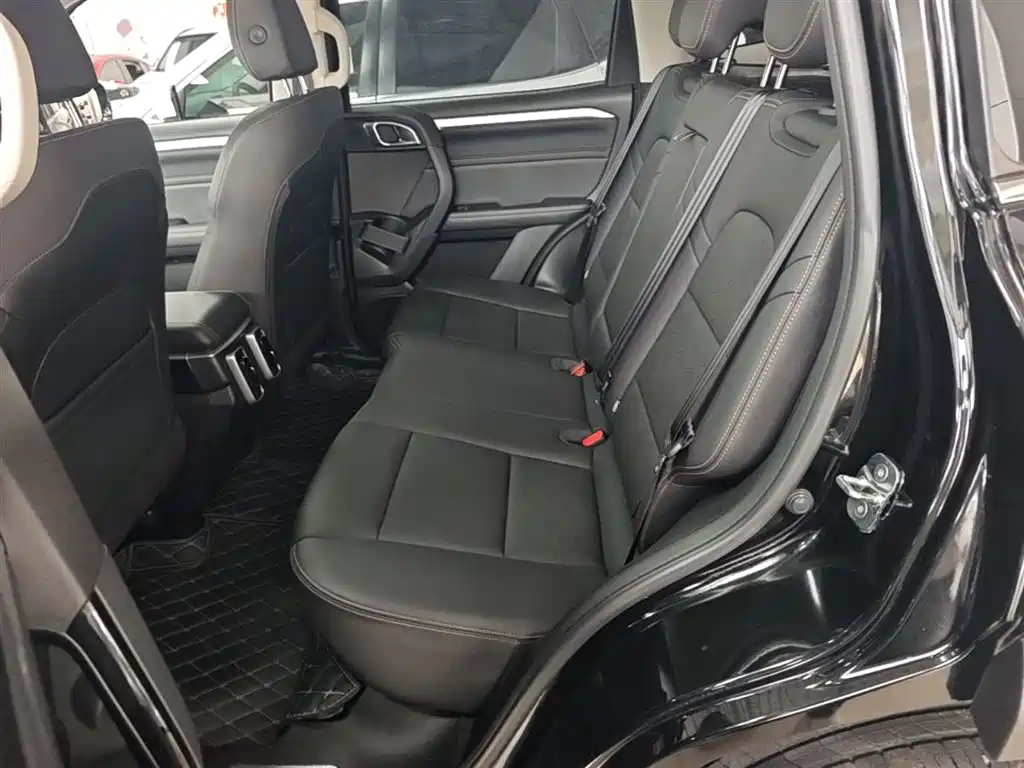 Haval Big Dog 2022 1.5T DCT FWD Border Collie Edition фото 17