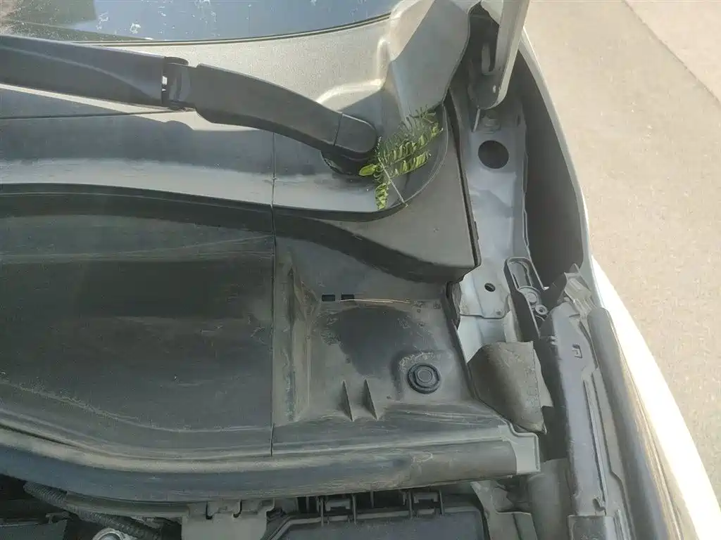 Toyota IZOA 2018 2.0L Yichi Edition China V фото 22